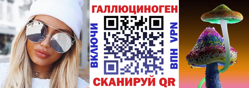 Купить  Холм  Галлюциногенные грибы Psilocybe 
